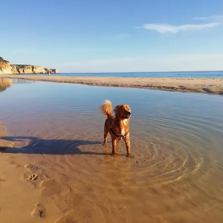 Marreiro's House Algarve - Child Friendy - Private Pool بيت للعطل *